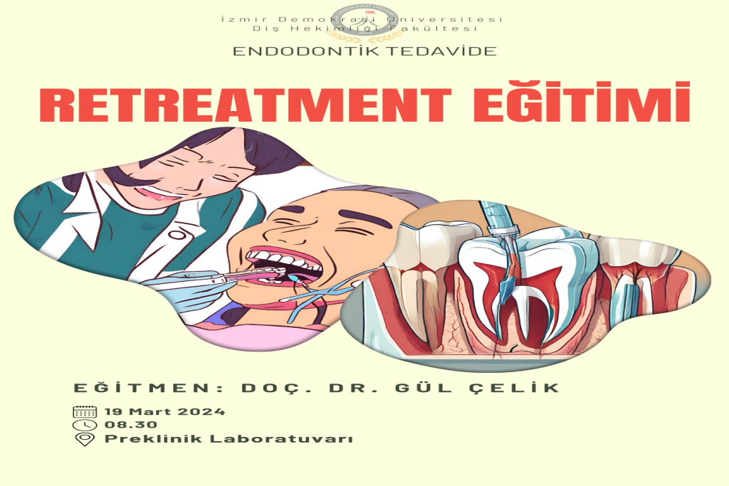 Endodontik Tedavide Retreatment Eğitimi